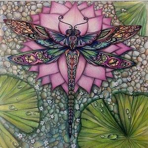 Meet your Posher, Judy